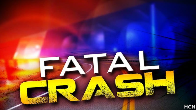 The crash happened on March 1 at 6:40 a.m. on 410th Street near Killdeer Avenue in Worth County.