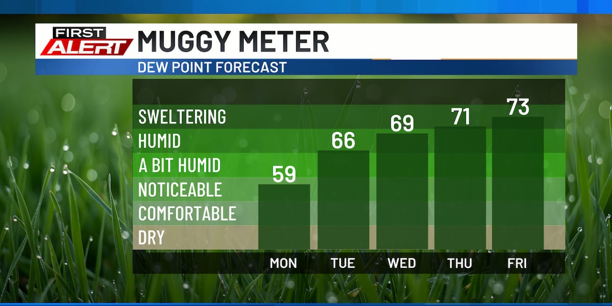 Humidity Levels This Week Heat and humidity returns this week