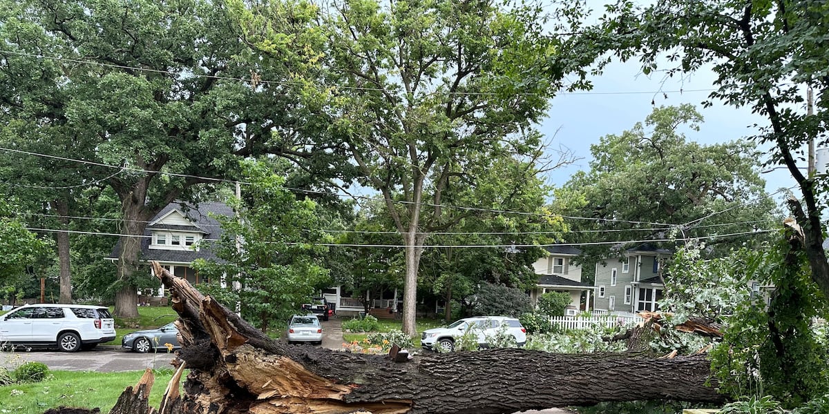 Midwest Exploding Tree Risk Dam fails after severe storms with tornadoes whip through Midwest ...