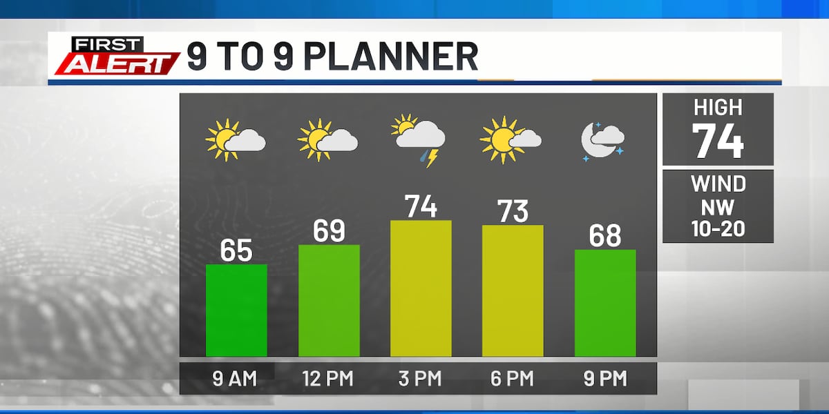 Partly sunny & breezy with a stray shower or two
