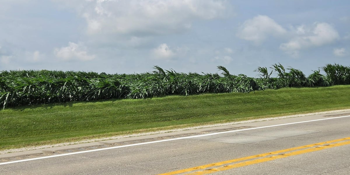 Winds destroy crops in Fayette County