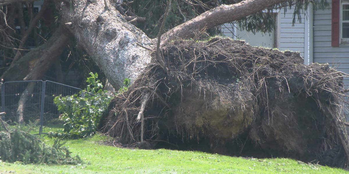 ‘It's devastating': Prairieburg community cleans up after strong storms