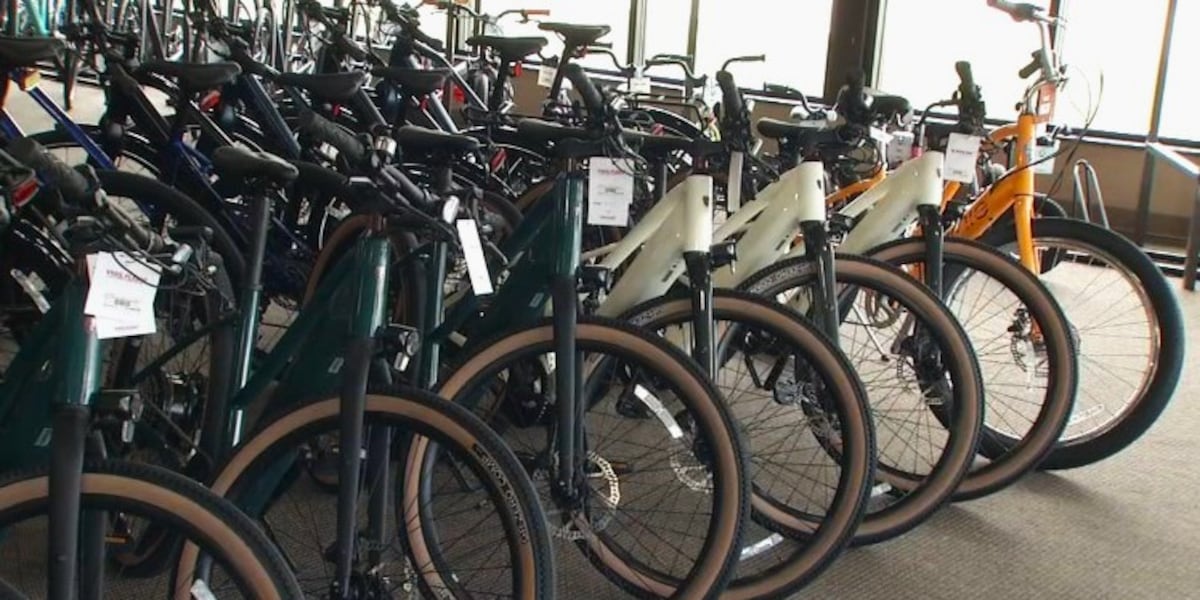 Why e-bikes may pose more dangers than bicycles: Iowa hospital, bike shop urge safety