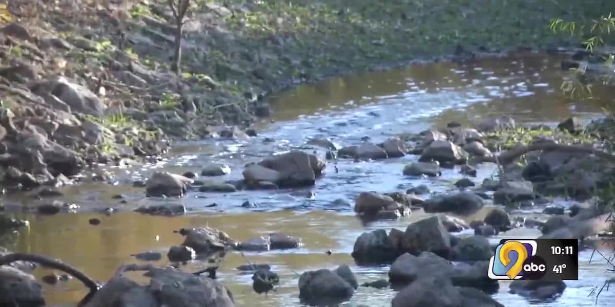 Iowa water quality study shows pollutants nearly doubled in 50 years – KCRG