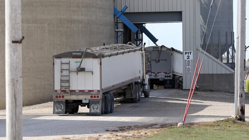 A Nebraska grain dealer with locations in Iowa has filed for bankruptcy. (Photo by Jared...