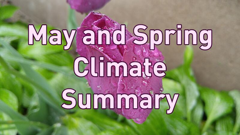 Climate review for May and spring 2019