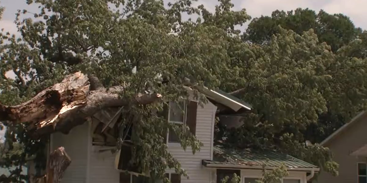 Center Point community comes together to help clean up three days after ...