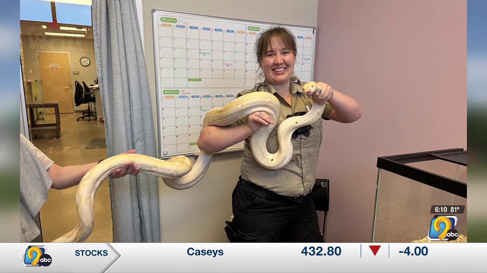 Python Loose In House Illegal python Sir Hiss-A-Lot found in Cedar Rapids relocated out of state