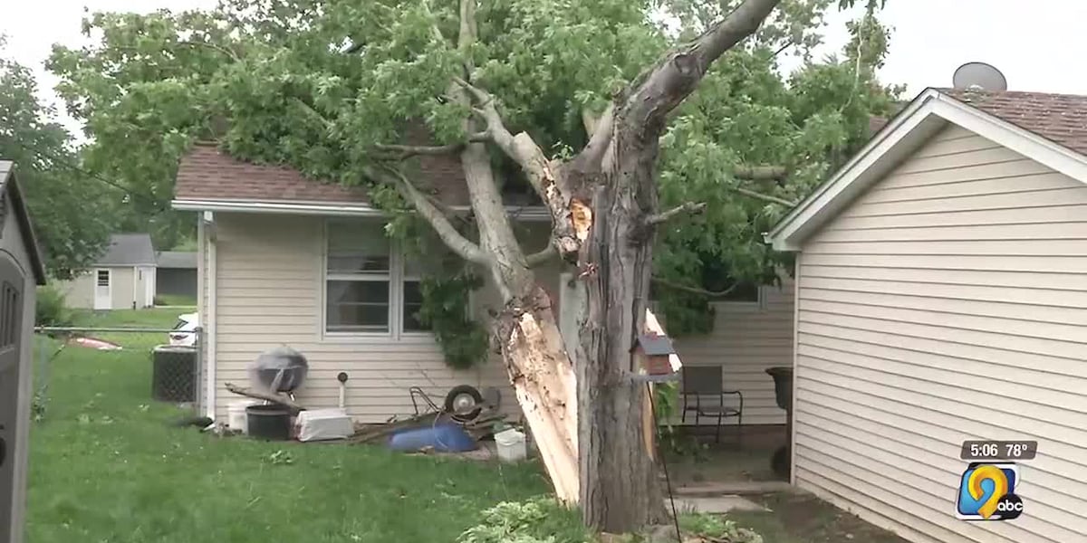 Exploding Trees Iowa Eastern Iowa cleans up tree damage and debris after Monday storms