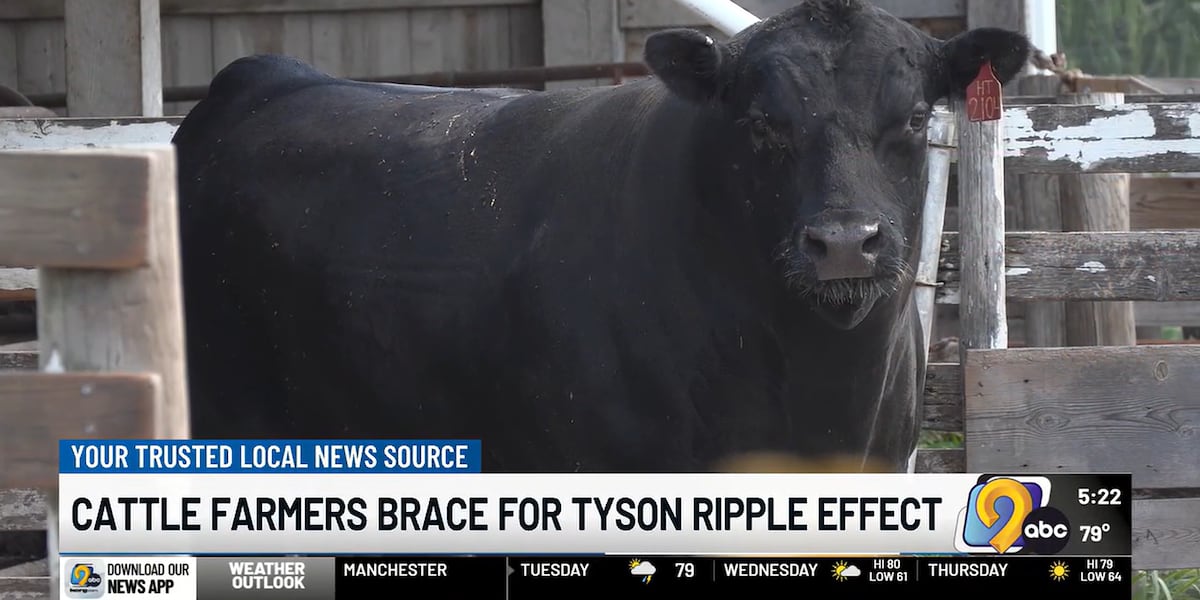 Local cattle farmers brace for Tyson closures' ripple effect