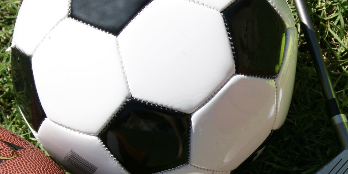 Des Moines soccer attendance is up, and the World Cup may be why