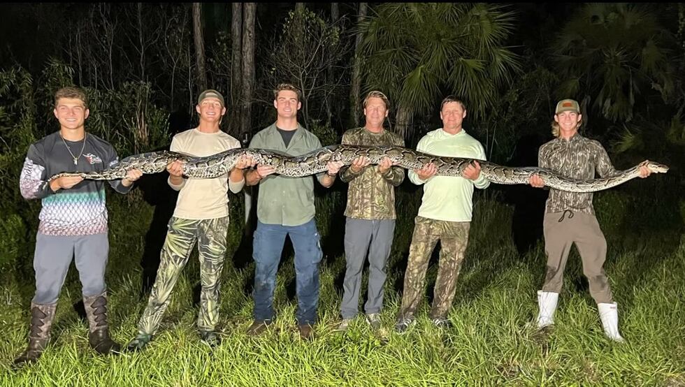 10 Inch Python Caught on camera: 18-year-old wrangles massive python