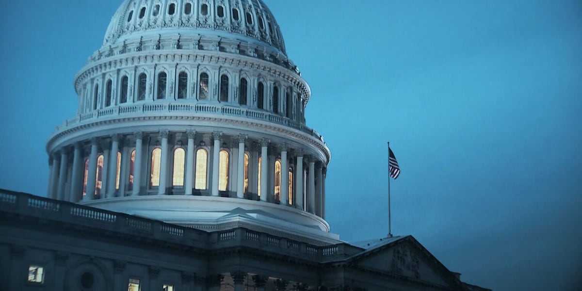 More than 90 Democrats vote present rather than take side as House ...