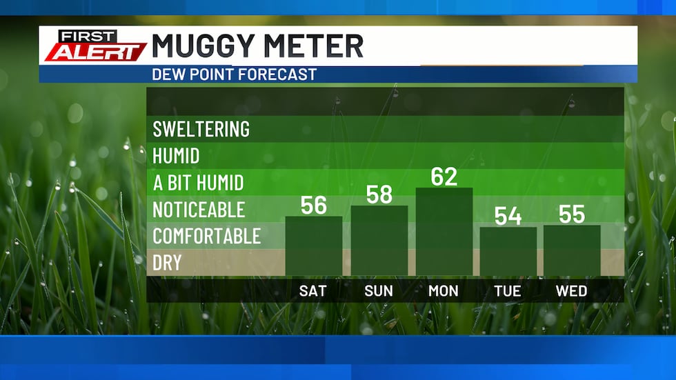 Muggy Meter