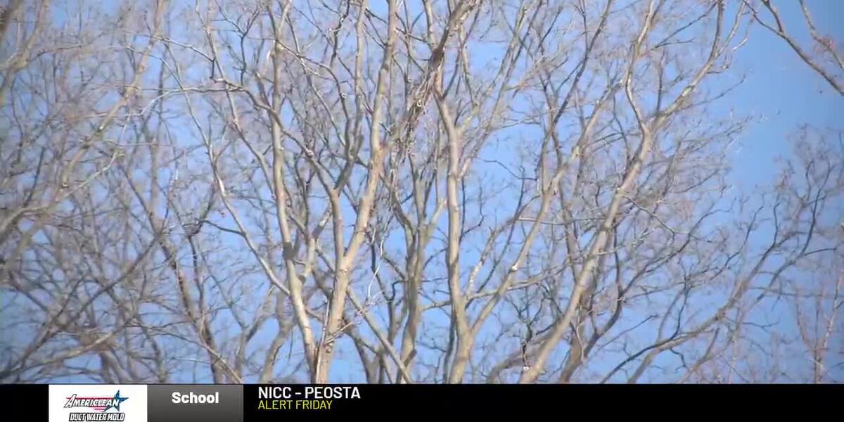 Exploding Tree Alert Radar Map Fact check: Cold weather and ‘exploding trees’