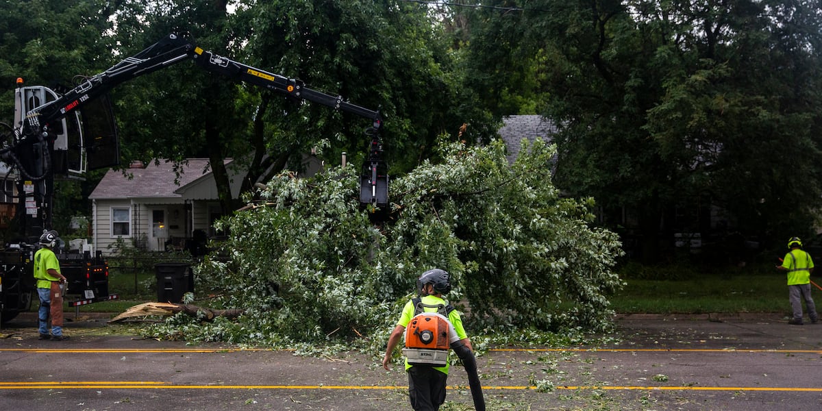 Exploding Trees Iowa How many trees did Iowa lose from the 2020 derecho?