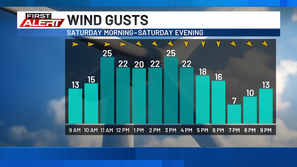 12 Hour Wind Gusts - Gusts this afternoon will reach between 25 and 35 mph