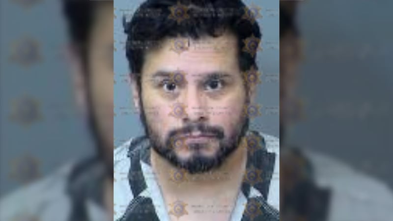 Adolfo Salas, 42, was arrested on felony charges of child abuse and aggravated assault of a...