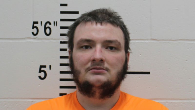 Decorah man faces sexual abuse and incest charges involving minors.