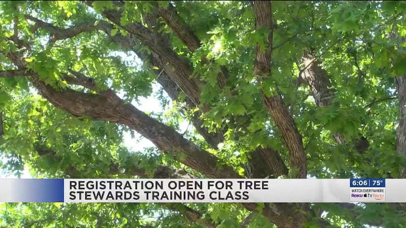 Registrations are open for the Charlottesville Area Tree Stewards 2026 training class.